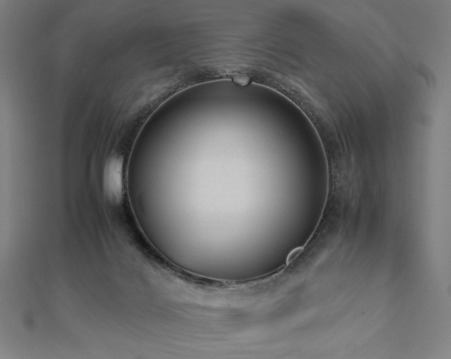 X0000112510028200908171343