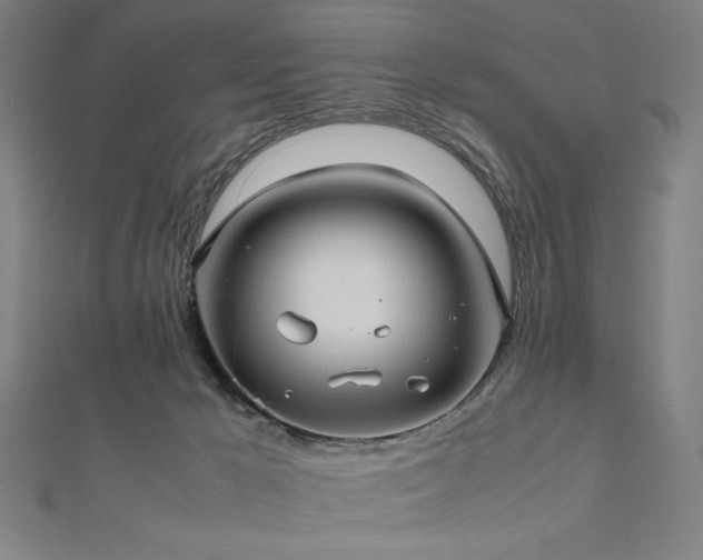 X0000112510029200908171343