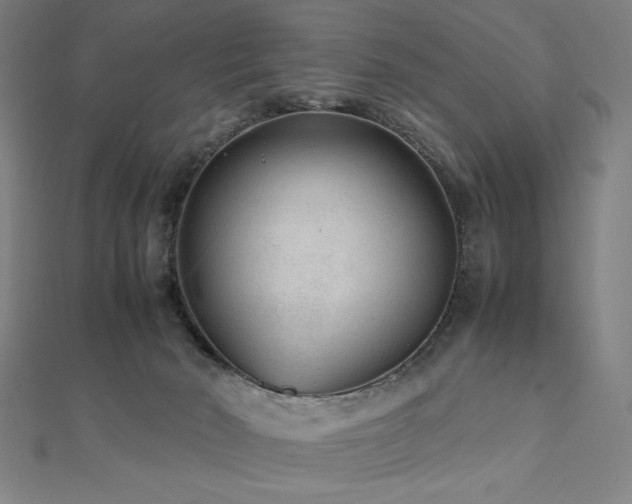 X0000112510030200908171343