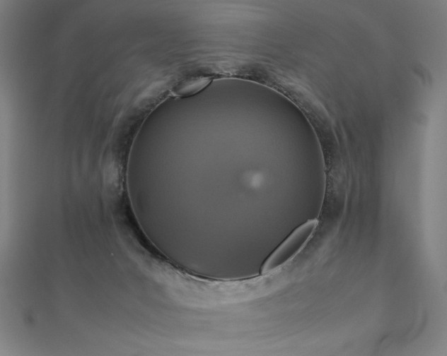 X0000112510031200908171343