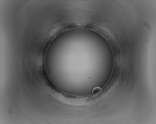 X0000112510032200908171343