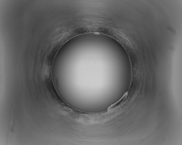 X0000112510033200908171343