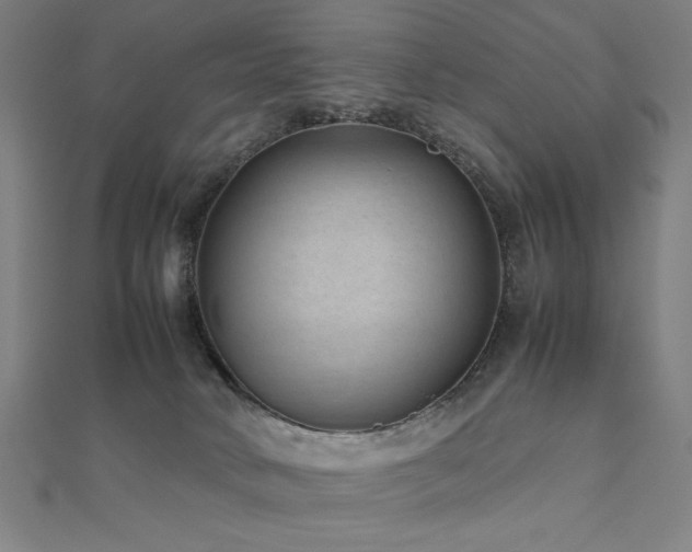 X0000112510034200908171343