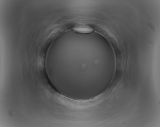 X0000112510035200908171343