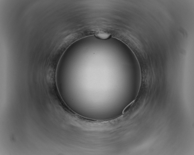 X0000112510036200908171343