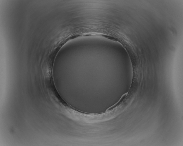 X0000112510039200908171343