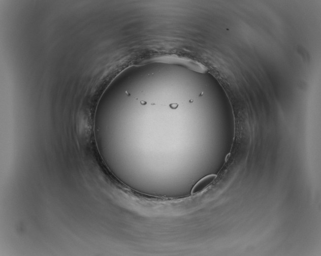 X0000112510040200908171343