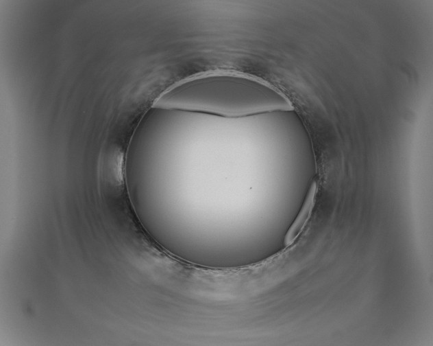 X0000112510041200908171343