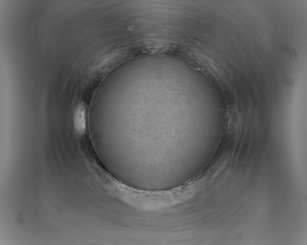 X0000112510042200908171343