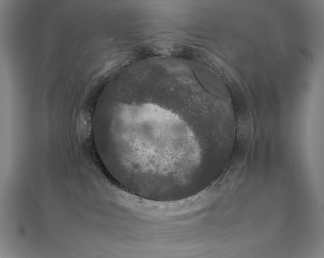 X0000112510043200908171343