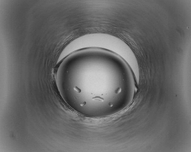 X0000112510045200908171343