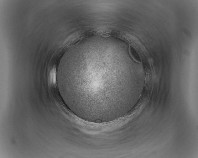 X0000112510046200908171343