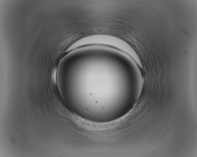 X0000112510047200908171343