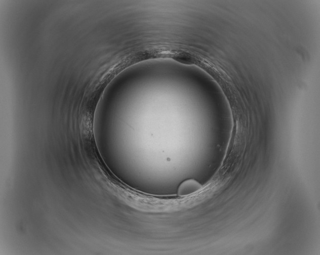 X0000112510048200908171343