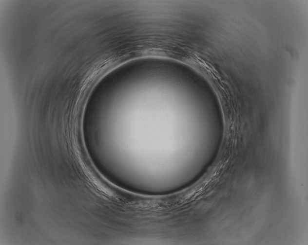 X0000112510049200908171342