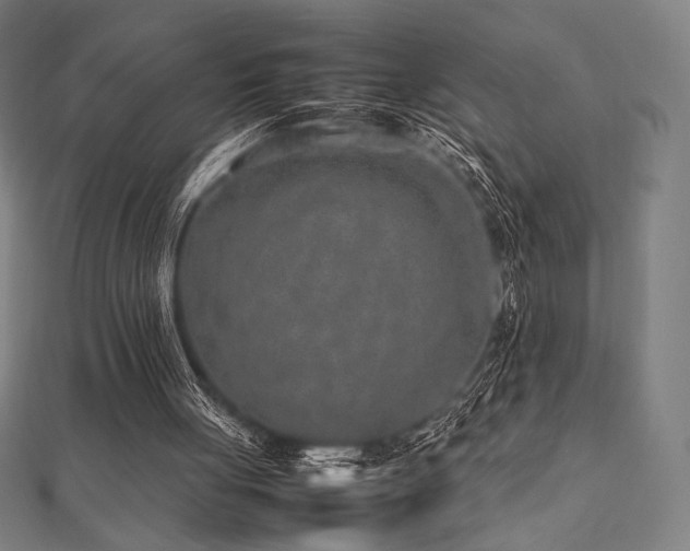 X0000112510051200908171342