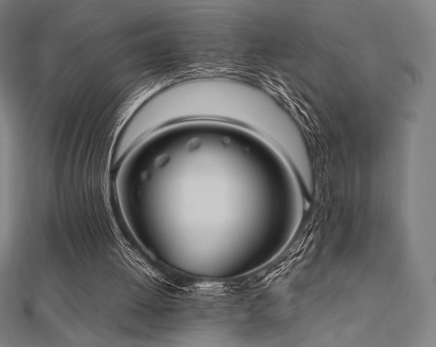 X0000112510052200908171342