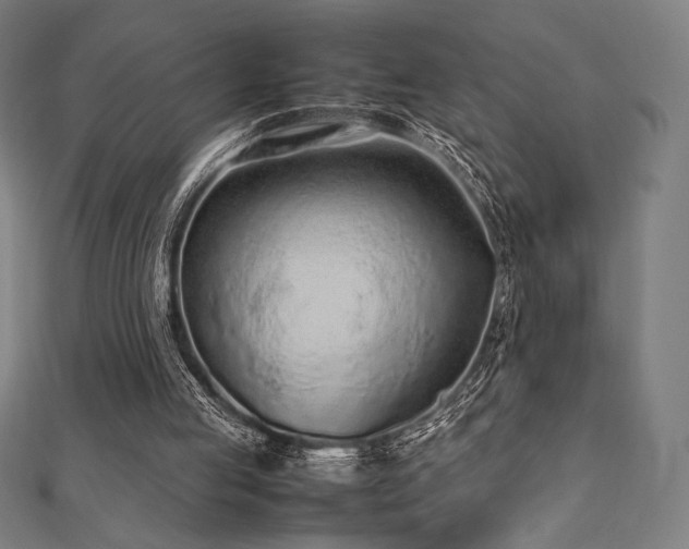 X0000112510053200908171342