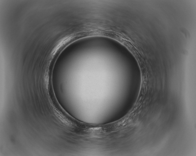 X0000112510054200908171342