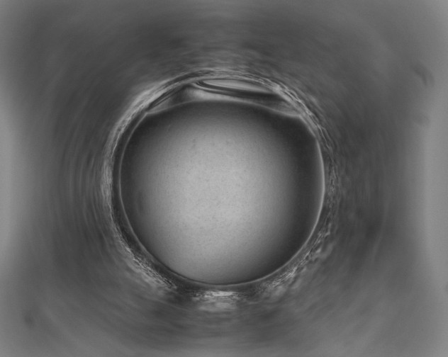 X0000112510055200908171342