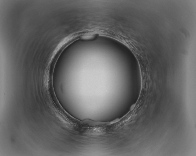 X0000112510056200908171342