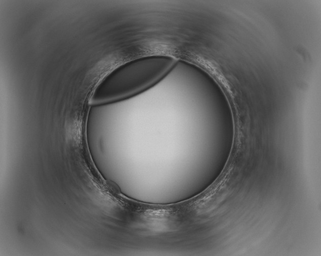 X0000112510057200908171342