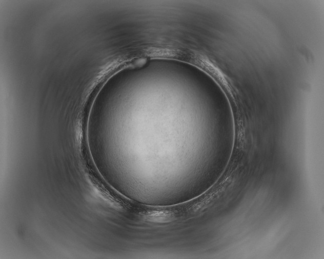 X0000112510059200908171342