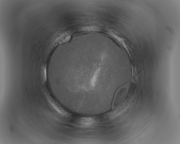 X0000112510061200908171342