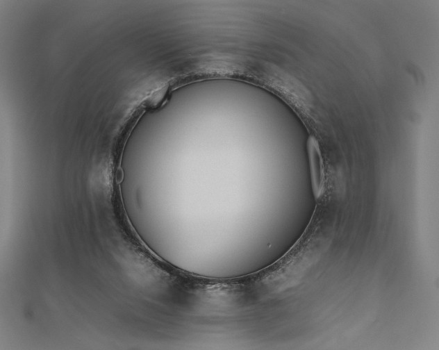 X0000112510064200908171342