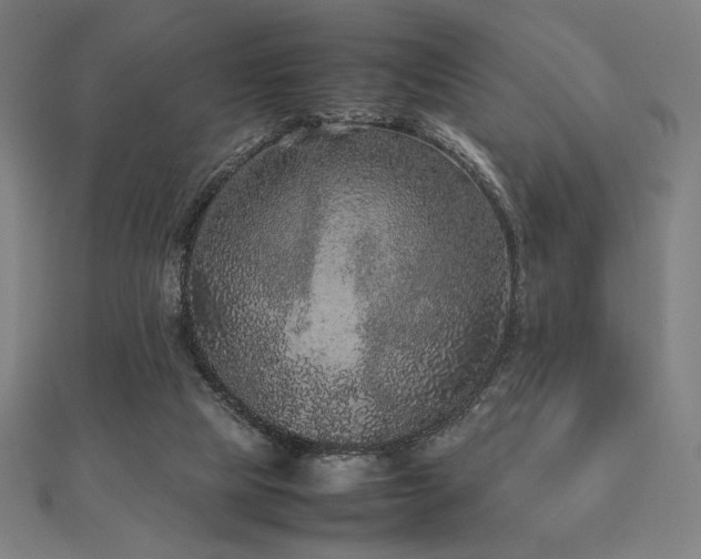 X0000112510065200908171342