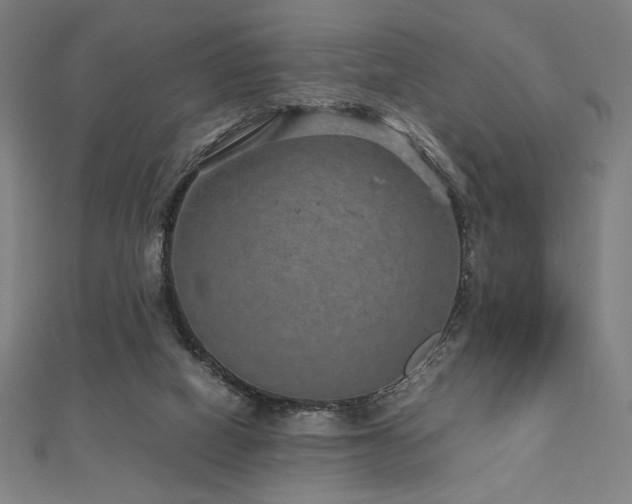 X0000112510066200908171342