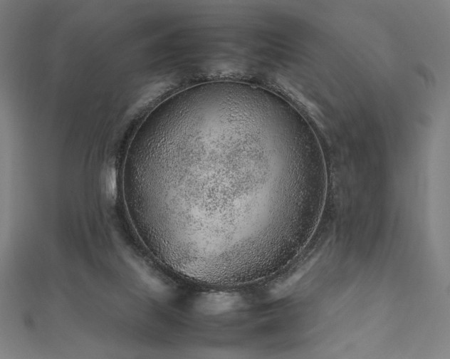 X0000112510067200908171342