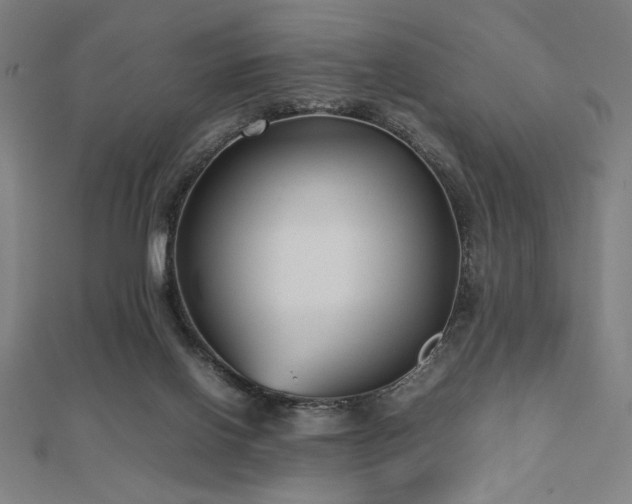 X0000112510070200908171342