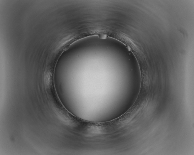 X0000112510071200908171342