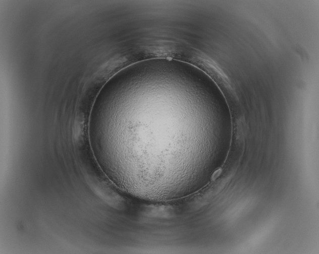 X0000112510073200908171342