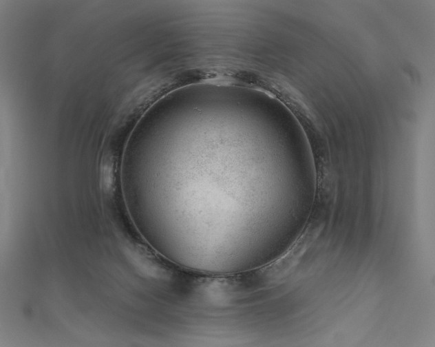 X0000112510074200908171342