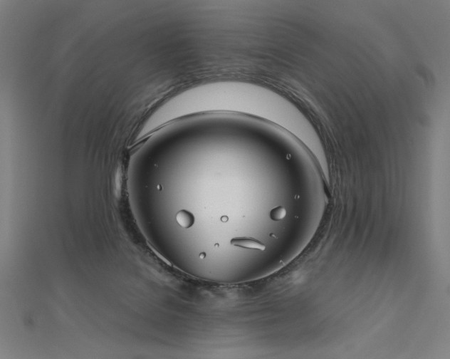 X0000112510076200908171342