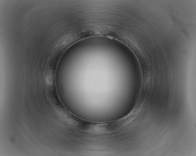 X0000112510078200908171342