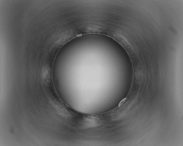 X0000112510079200908171342