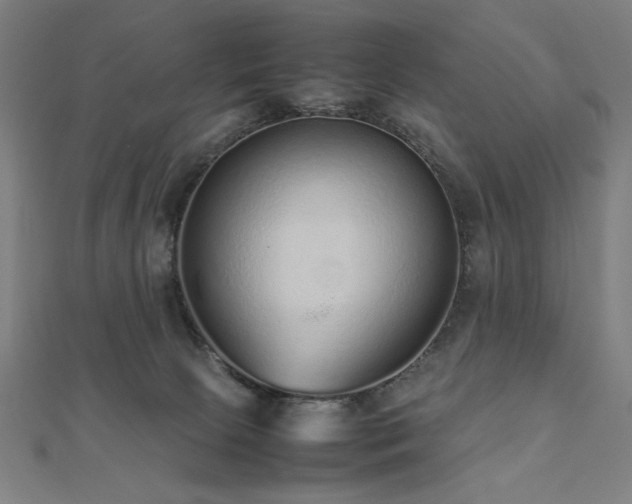 X0000112510081200908171342