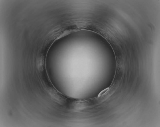 X0000112510082200908171342