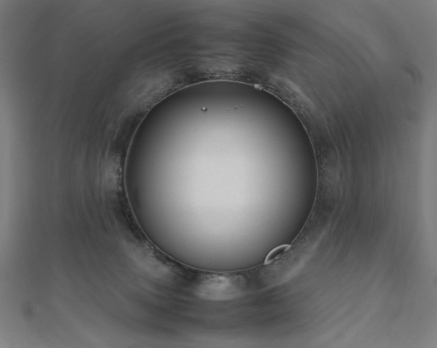 X0000112510083200908171342