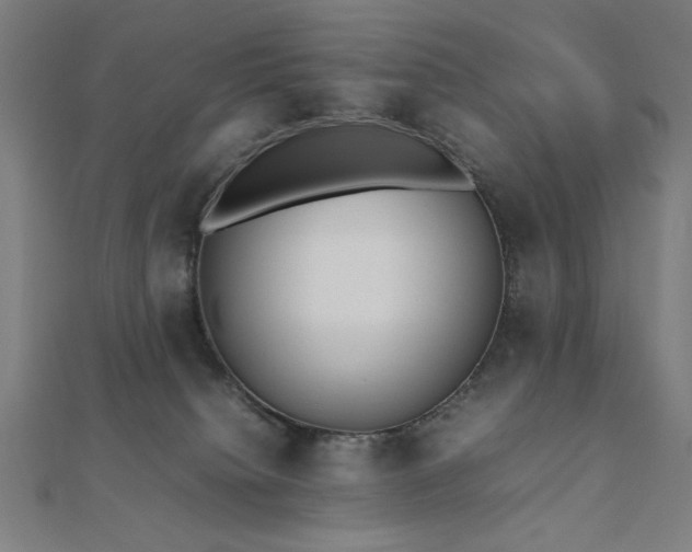 X0000112510084200908171342