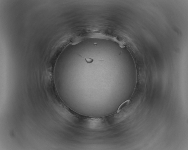 X0000112510085200908171342