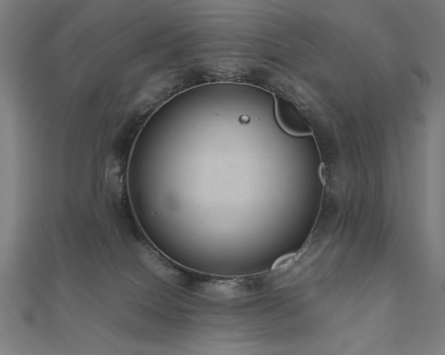 X0000112510086200908171342