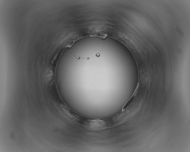 X0000112510087200908171342