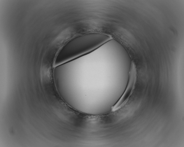 X0000112510088200908171342