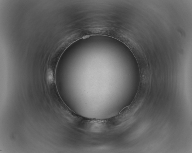 X0000112510089200908171342