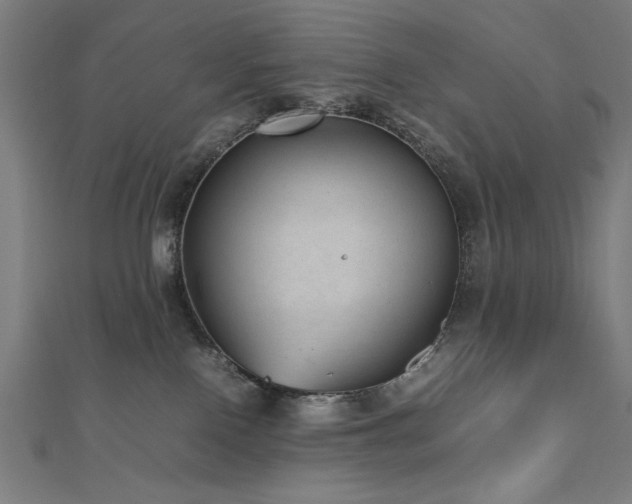 X0000112510090200908171342