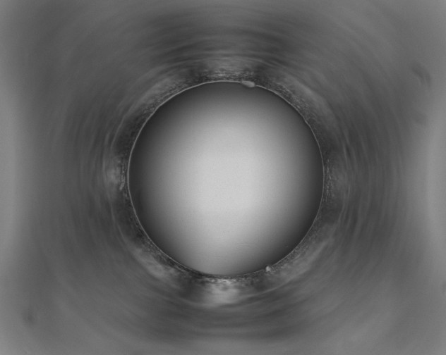 X0000112510091200908171342